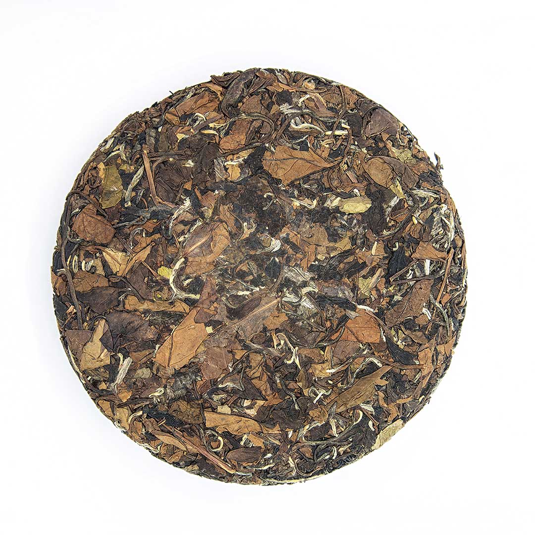 Tè bianco da albero antico 2016