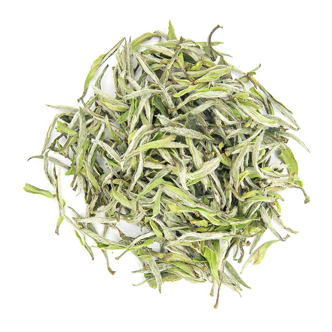 Wild Bai Mu Dan White Tea 2024